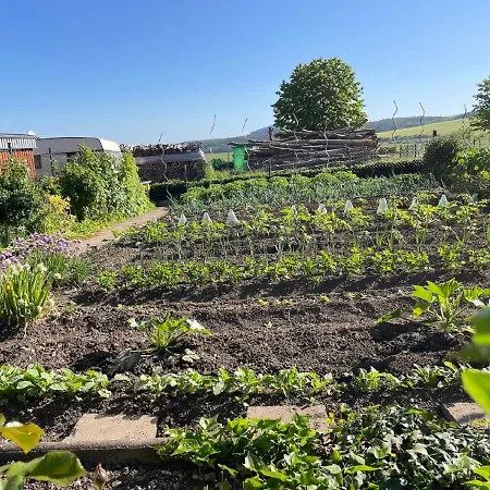 Seeleshof Apartment *