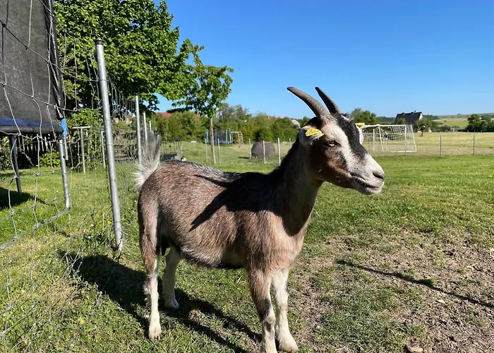 Appartement Seeleshof Geisa