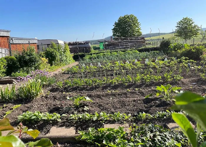 Seeleshof Appartement *